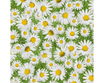 КЛЕЕНКА PHOTOPRINT 140 CM 702 МАРГАРИТКИ